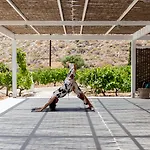 Anemi Folegandros Hotell Karavostasis (Folegandros)