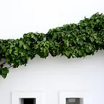 Hotell Anemi Folegandros Karavostasis (Folegandros)