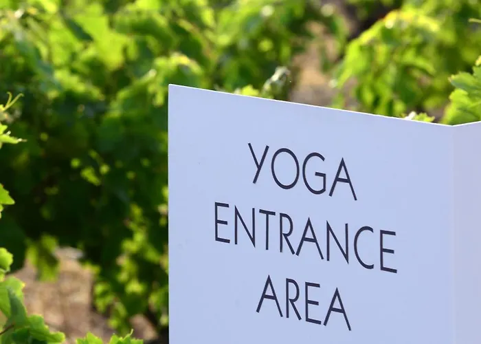 Anemi Folegandros فندق 5*