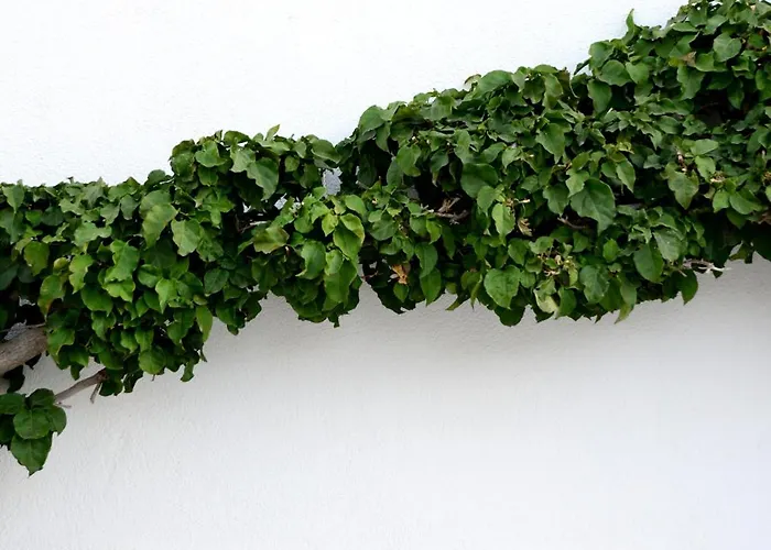 فندق Anemi Folegandros كارافوستاسيس