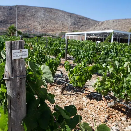 Hotel Anemi Folegandros Karavostasis (Folegandros)