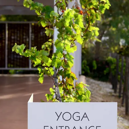 Hotel Anemi Folegandros Karavostasis (Folegandros)