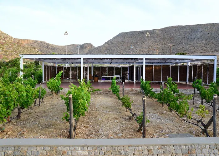 Anemi Folegandros Hotell 5*