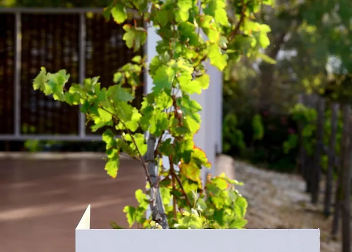 Hotell Anemi Folegandros Karavostasis (Folegandros)