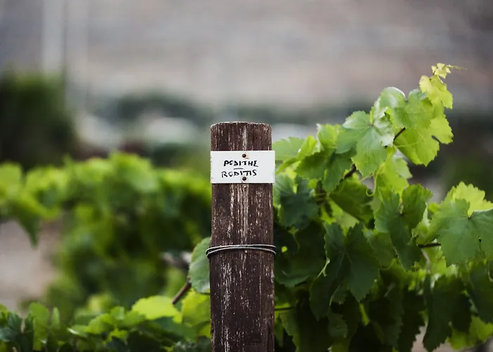 Anemi Folegandros Hotell 5*