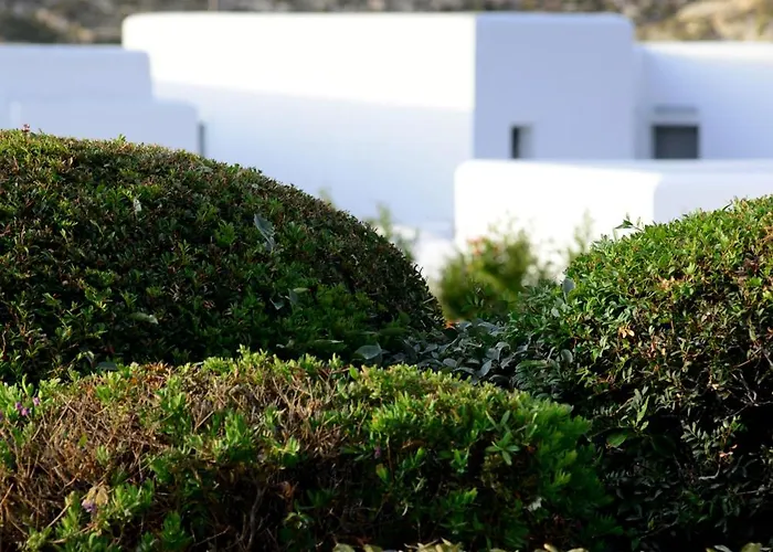 Anemi Folegandros 5* Karavostasis (Folegandros)